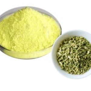 ÉCHANTILLON GRATUIT 99% POUDRE BLANCHE ANHYDRE SOPHORA JAPONICA EXTRAIT 95% 98% POUR SUPPLÉMENT AU VIETNAM! HAUTE QUALITÉ - Product Image 5