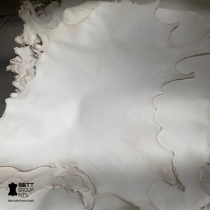 Full Hide Natural Goatskin Settgroup Vellum Parchment GoatSkin Bleached White Waterproof & Durable Furniture Accessories Trusted - Product Image 1