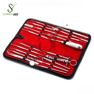 20-Piece Manual Reusable CE Certified Dental <b>Teeth</b> Cleaning Instrument Tartar Calculus <b>Plaque</b> <b>Remover</b> <b>Tooth</b> Scraper Steel Silver - Product Image 1