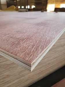 Contreplaqué d'acacia plaqué Bintangor au design moderne, 4x8 pieds, 9-21 mm, qualité supérieure E2, faible émission de formaldéhyde, meubles, 1 an - Product Image 3