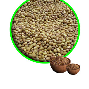 Berseู Clover | รักษาความชุ่มชื้นของดินในขณะที่เติบโต - Product Image 2