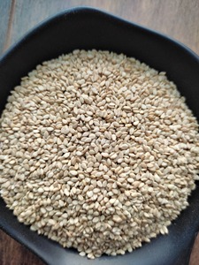 งาคุณภาพดีที่สุดจากธรรมชาติ สีขาวธรรมชาติ งาจากอินเดีย มีจำหน่าย - Product Image 2