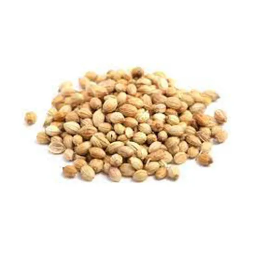 pure manufacturer CORIANDER SEEDS new Best material With cheap rate