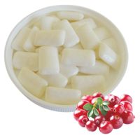 Vente en gros de chewing-gum à la saveur fruitée au xylitol pour soins dentaires, emballage en vrac