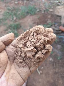 Matière première de poudre de Joss de qualité supérieure pour la fabrication d'encens de haute qualité au Vietnam fournisseurs-Pure, naturelle et durable à vendre - Product Image 5