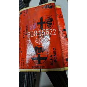 สายพานบริการ ALFA ROMEO 145 SERIES (930_) (99>01) 60815622 เบนซิน - - Product Image 4