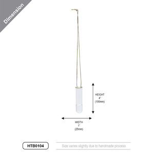 HTB0104 - แจกันหลอดทดลองแขวนขนาดเล็ก - 4 นิ้ว - Product Image 2