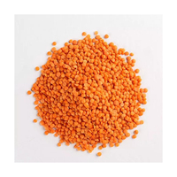 Lentilles Rouges Biologiques de Qualité Prix Promotionnel Durée de Conservation de 2 Ans Emballage en Fût/En Vrac/Cadeau 25/50 KG