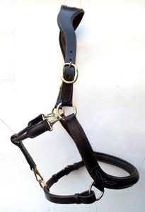 Halter de equitación inglés de calidad superior, venta completa, filete de cuero, banda para la nariz media redonda, herrajes de latón de alta calidad, productos para caballos - Product Image 6