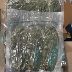 Vietnam Dried Soursop and Graviola Leaves Annona Muricata Export Grade Loose Leaf <b>Tea</b> Raw Ingredient - Product Image 1