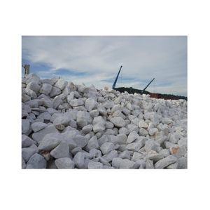 Fournisseur principal 1 au Vietnam Morceaux de carbonate de calcium-Carbonate de calcium et magnésium pour l'industrie du verre Poudre de dolomite au Vietnam - Product Image 1