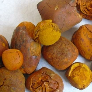 Niu Huang Cow, <strong>Ox</strong>, or Water Buffalo Gallstone (Bezoar) Cattle Yellow - Product Image 3