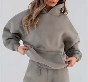 Sweat-shirt à capuche surdimensionné d'hiver pour femmes, doublure en polaire brodée 3D, sweat-shirt chaud et confortable avec logo sur le devant pour temps froid - Product Image 1