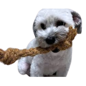 Juguete Masticable para Mascotas de Cáscara de Coco, Tamaño Pequeño, Duradero, Hecho a Mano, Interactivo, para Entrenamiento de Actividades en Interiores - Product Image 6