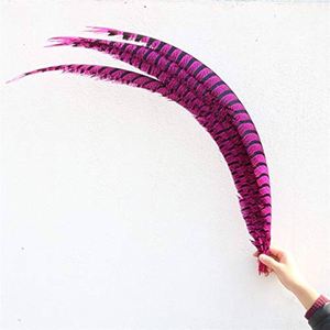 Plumas de Faisán Teñidas, Plumas de Aves Largas para Carnaval, Patrón Arcoíris para Disfraces de Danza, Manualidades y Decoración - Plumas de Faisán Lady Amherst - Product Image 3