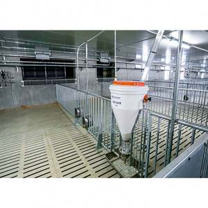 Gran oferta, excelente jaula de parto para cerdas de granja de cerdos moderna y cómoda - Product Image 4