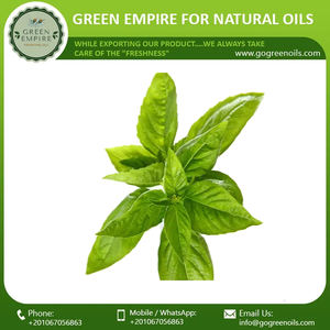 Haute qualité basilic Linalool huile essentielle propre marque 100% huile essentielle d'aromathérapie naturelle huile de basilic pour la peau - Product Image 2