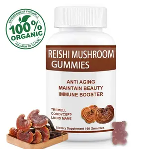 OEM özel etiket doğal bitkisel zihin ve vücut güçlendiriciler destek bağışıklık sistemi fonksiyonu için Reishi mantarı Gummies