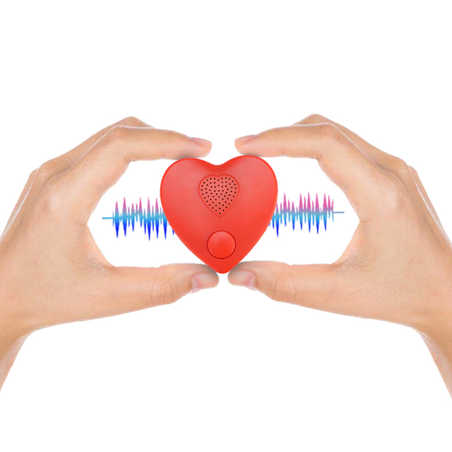 Heartbeat Bear Recordable Stuffed Animals 300 Sec Heart Voice Recorder for Ultrasounds and Sweet Messages Playback