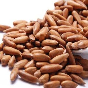 Top Grade Organic <b>Pine</b> Nuts Fresh Export Quality Best Price for Bakery Cooking and Food Processing For Sale - Product Image 5