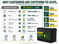 Batterie au lithium LiFePO4 25,6 V 100 Ah 24 V 2560 Wh pour stockage d'énergie solaire domestique et système d'onduleur de secours pour camping-car