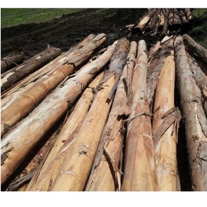 Wood Pillar Good Quality - Product Image 5
