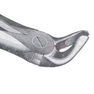 Fig. 13 Premolares inferiores Fórceps de extracción de dientes de diferentes tamaños Instrumentos médicos dentales Precio al por mayor Proveedor a granel - Product Image 3