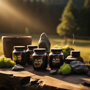 Suplemento DE SALUD secado al sol de ácido fúlvico orgánico de resina Shilajit Himalaya pura auténtica para adultos, embalaje al por mayor probado en laboratorio - Product Image 3