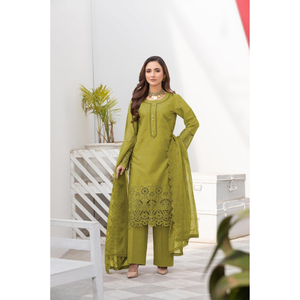 เราเป็นผู้ผลิตและจำหน่ายชุดสำหรับฤดูหนาวของชาวปากีสถานชุดสำหรับผู้หญิงทุกประเภท - Product Image 3