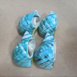 Anillo para Servilletas Premium de Vietnam, Porta Servilletas con Diseño de Caracol y Concha Marina para Hoteles, Resorts, Habitaciones y Regalos - Product Image 1