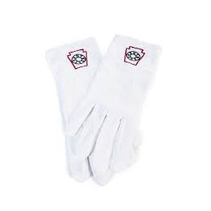 Gants maçonniques brodés lavables à faible MOQ, faciles à utiliser, commande en gros, gamme de couleurs variées, super respirants, séchage rapide pour le sport - Product Image 1