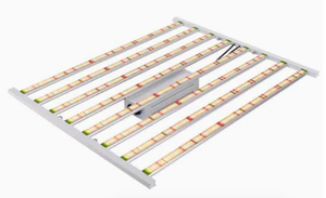 Lampe de culture LED à spectre complet à haut rendement Sam Sung Lm301b Rygh-Gl10-1000W - Product Image 2