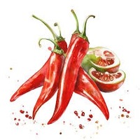 Exportateur indien de piments rouges frais entiers biologiques pour la cuisine domestique et l'usage commercial à un prix raisonnable