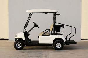 Carrito de Golf WLDT2 2021, Extremadamente Limpio, Exterior Blanco, Interior Beige, Mini EV, 2 Plazas - Product Image 4