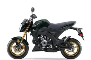 K A W A S A K I S  Mini & Pocket Motorcycle Z 125 PRO à vendre - Product Image 4