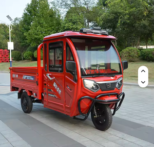 Hot Selling 1000W Electric Tricycle 60v <b>Mobility</b> Rickshaw <b>Trike</b> with Heavy Loader for Family Delivery Use - Product Image 1