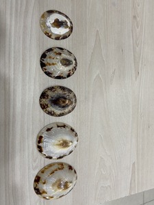 ขนาดใหญ่สีแดงหมวกกันน็อคเปลือกหอย-ตกแต่งร้อนขายสินค้า - Product Image 3