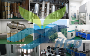 Approvisionnement direct d'usine HGO d'extrait de salvia miltiorrhiza naturel pur (qualité alimentaire santé) spécification acide salvianolique B 70% - Product Image 3