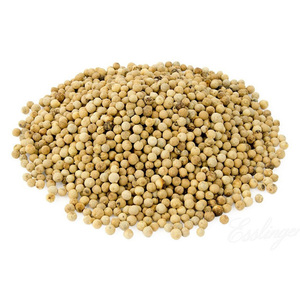 พริกไทยขาวแห้งขายส่ง พริกแห้งรสเผ็ดสำหรับปรุงอาหาร - Product Image 3