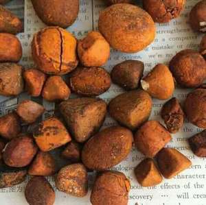 Prix bas, acheteur en gros, calculs biliaires de bœuf, bovins, buffles, vaches, produit jaune, calcul biliaire entier ou brisé, fournisseur en vente - Product Image 3