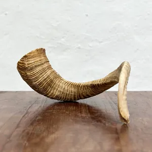 Cuerno que sopla Shofar real para ceremonia cultural, cuerno que sopla Shofar Ram original para sonido sagrado, precio al por mayor de Navidad - Product Image 4
