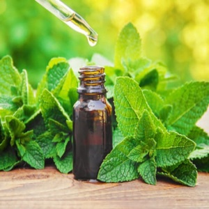 น้ำมันหอมระเหยมิ้นท์ญี่ปุ่นแท้ (Mentha Arvensis) สำหรับอโรมาเธอราพี ผลิตภัณฑ์ดูแลผิวและเส้นผม ผู้ผลิตและผู้ส่งออกขายส่งจำนวนมาก - Product Image 1