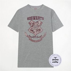 T-shirt a maniche corte con stemma dell'Accademia Fantasy, unisex per adulti, girocollo grigio, con grafica a tema scuola di magia - Product Image 3