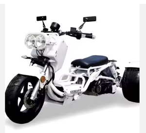 AUTOPARK Meilleure qualité Ice Bear MADDOG 150cc PST150-19N Trikes 3 roues - Product Image 1
