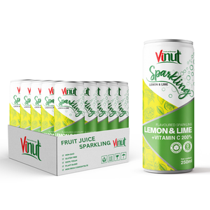 Lime & Lemon Fruit Juice Sparkling Water Can Drink 250ml (8.5fl Oz) OEM ODM Private Label Wholesale Beverage Manufacturer - Product Image 1