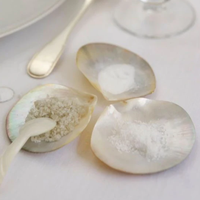 Nouvelle conception de luxe, assiette à caviar en nacre, coquille de perle naturelle, assiettes à dîner personnalisées, vente en gros du Vietnam