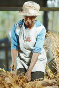 Aceite Esencial de Vetiver 100% Puro y Natural, Destilado al Vapor, Profundamente Relajante, Regenerador de la Piel, Ingrediente Cosmético, Madagascar - Product Image 3