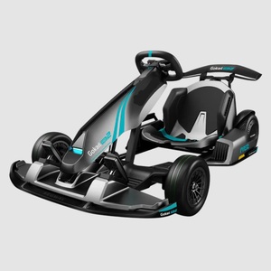 Gokart Eléctrico Pro 2 – Go-Kart de Alto Rendimiento para 2 Personas, para Todas las Edades - Product Image 2