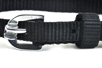 Collier pour chien en nylon réglable avec boucle en métal, noir uni, style simple, collier pour animaux de compagnie toutes saisons pour chiens