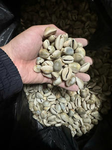 เปลือกหอยตกแต่งที่สร้างสรรค์สำหรับอุปกรณ์แต่งบ้านตามสั่งธีมงานแต่งงานชายฝั่ง - Product Image 6